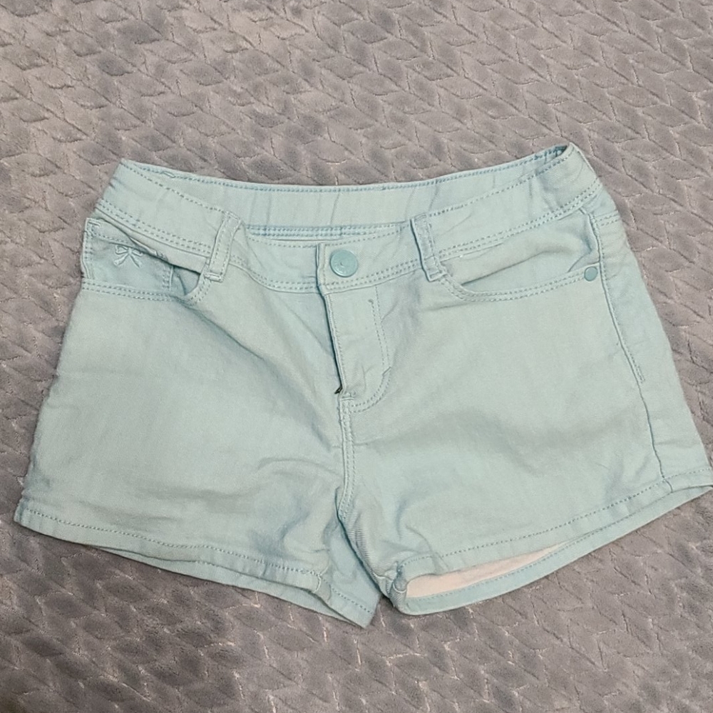 Aqua Shorts
